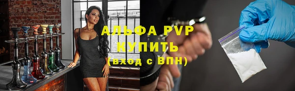 хмурый Абаза