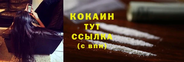 молекула духа Осинники