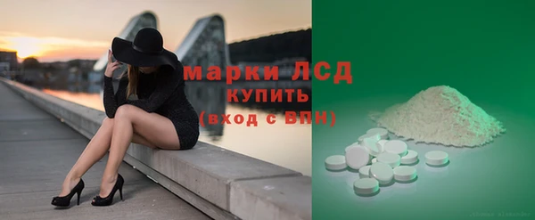 хмурый Абаза