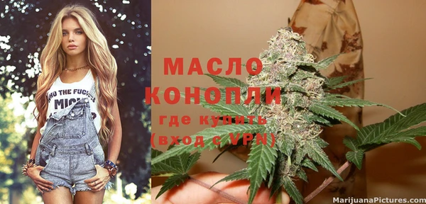хмурый Абаза