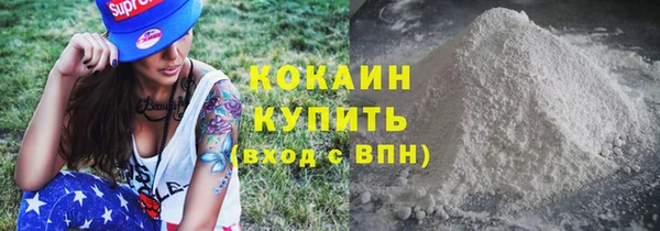 хмурый Абаза