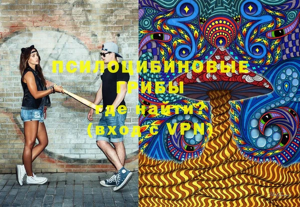 молекула духа Осинники