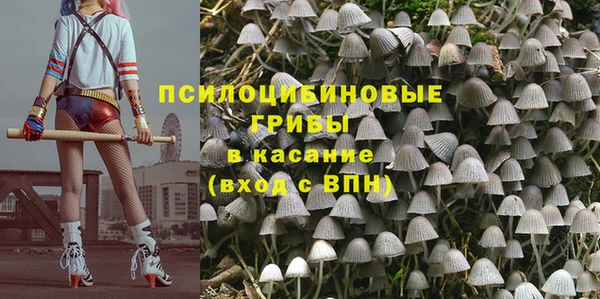 молекула духа Осинники