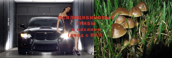 прущие крисы Остров