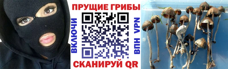 Галлюциногенные грибы мицелий  Советский 