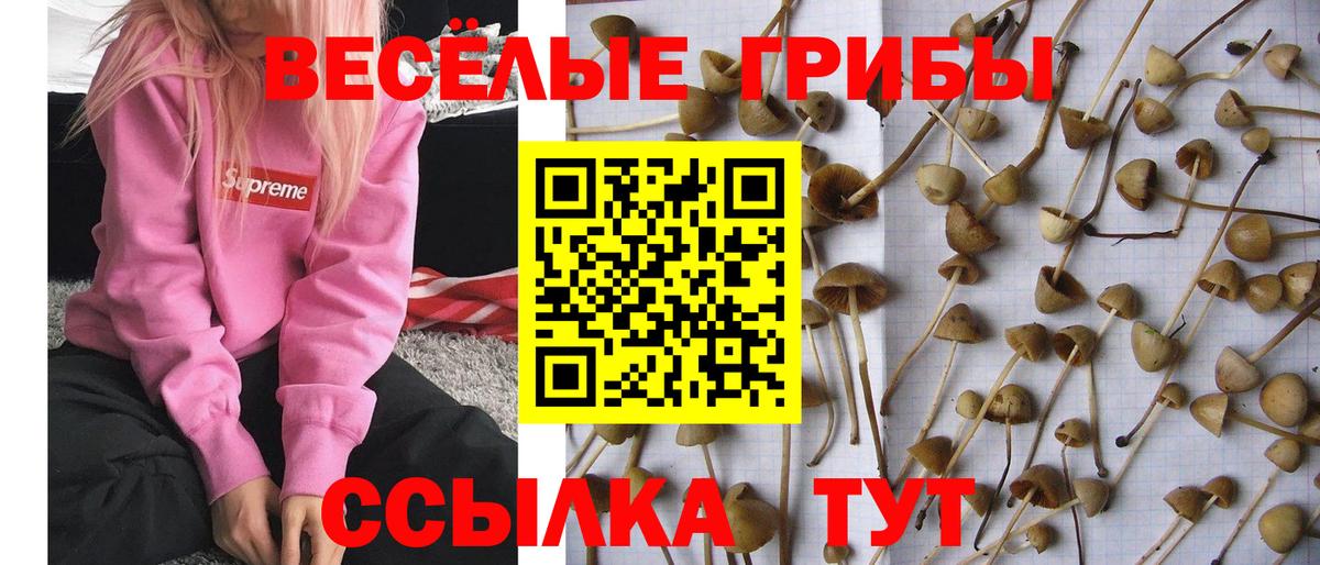 Галлюциногенные грибы ЛСД Советский