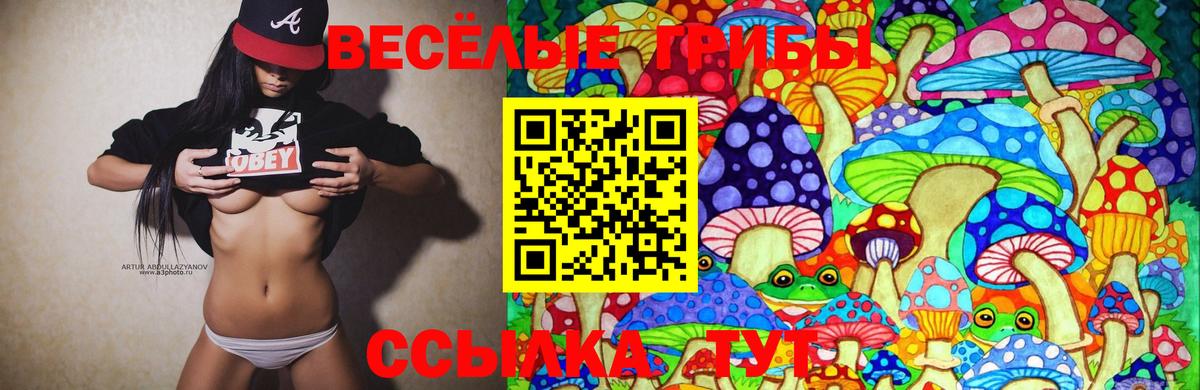 Псилоцибиновые грибы Cubensis  Вход с VPN  Советский 