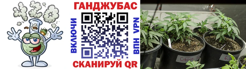 купить Советский Бошки марихуана OG Kush